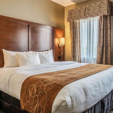 Comfort Suites Near Texas State University Сан Маркос Экстерьер фото